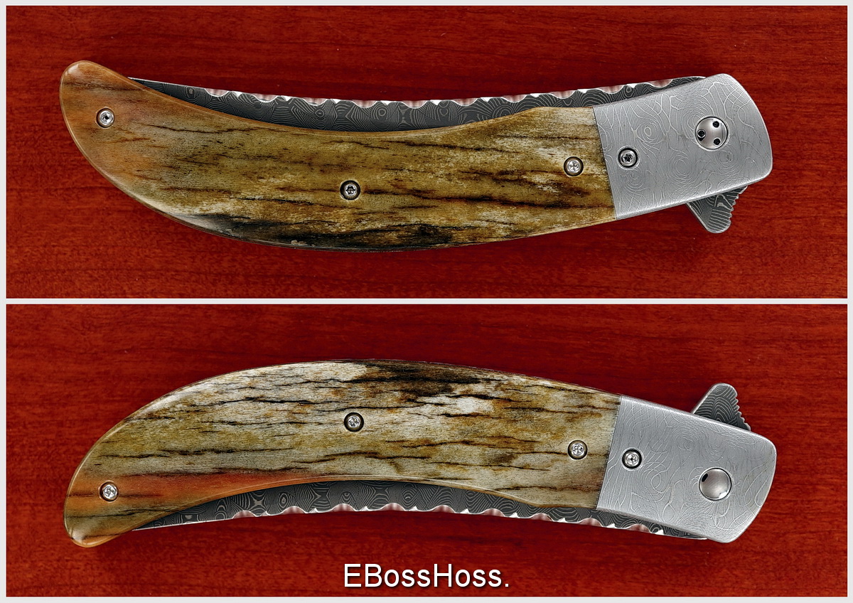 Phil Boguszewski Fancy Panther