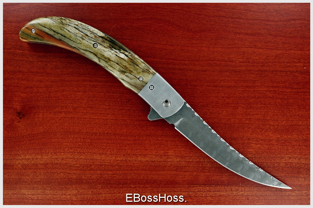 Phil Boguszewski Fancy Panther