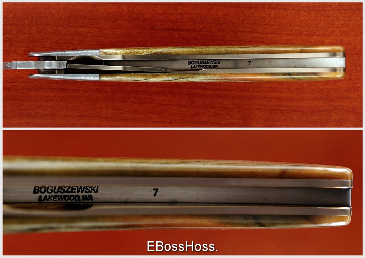 Phil Boguszewski Fancy Panther