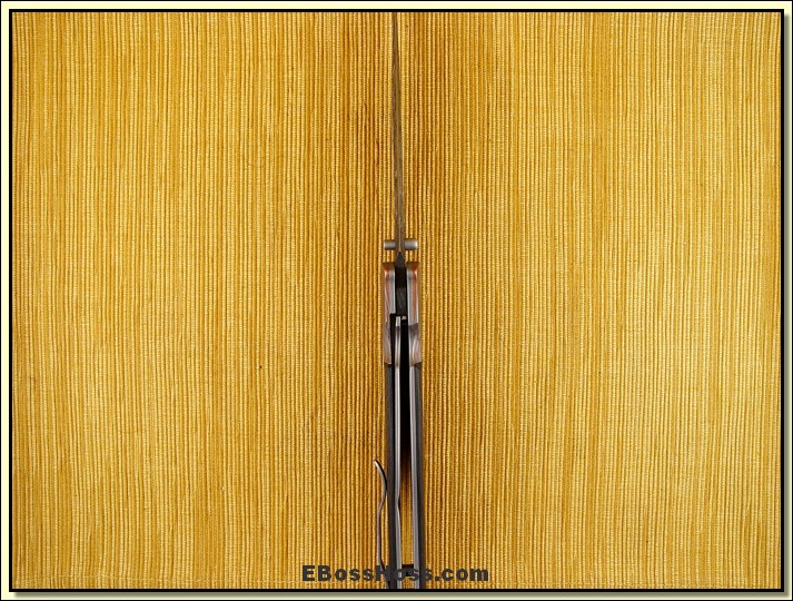 Tom Mayo Deluxe Dr. Death (Super Collider)