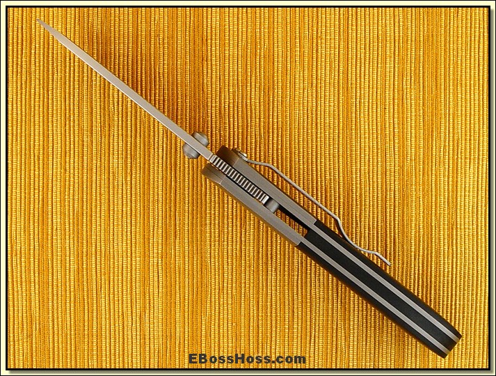 Marty Young Big Model 1