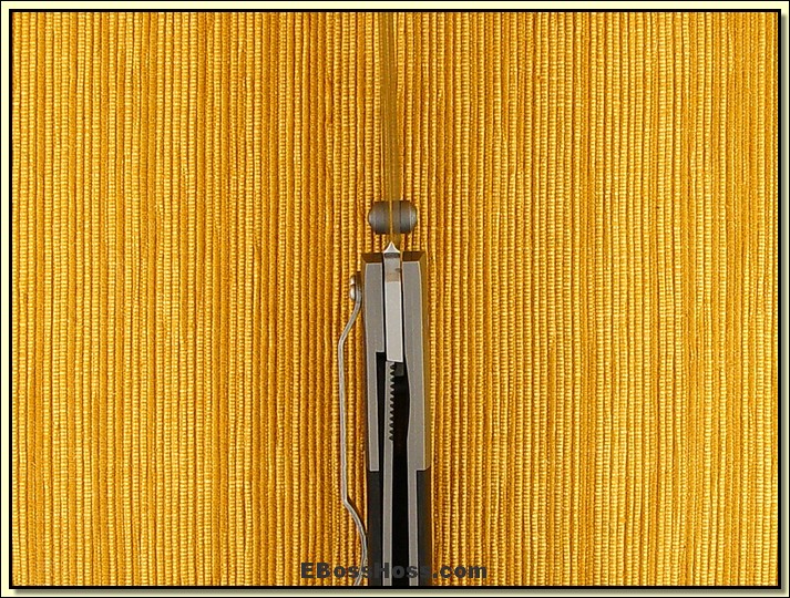 Marty Young Big Model 1