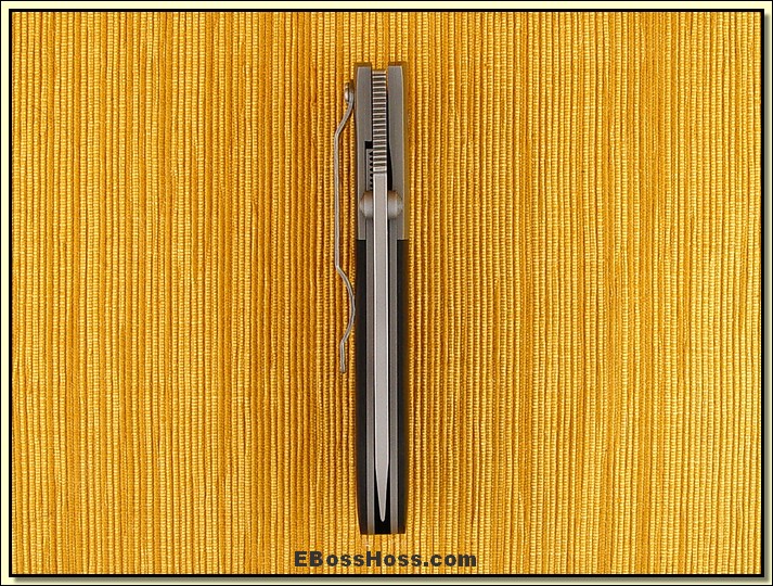 Marty Young Big Model 1