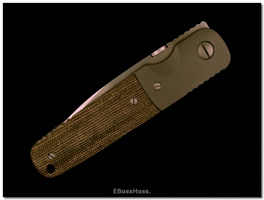 Ernie Emerson A-100 Custom