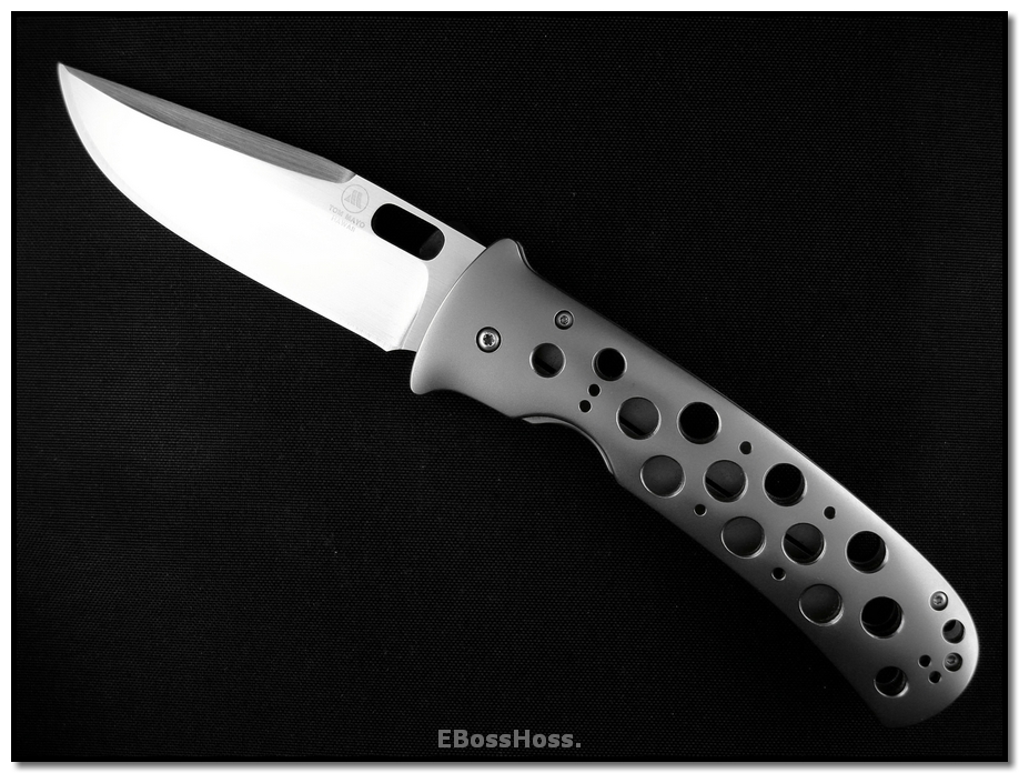 Tom Mayo T-Rex Prototype