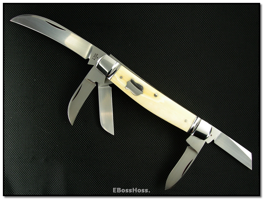 Tony Bose Congress Ivory