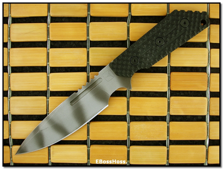 TAD Combat Edition Strider MOD10 CQB