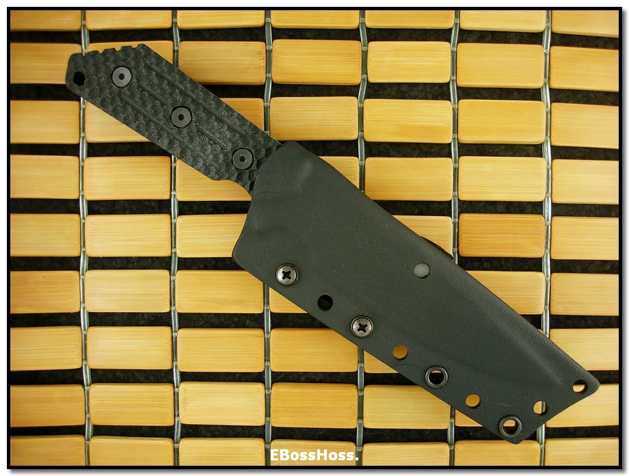 TAD Combat Edition Strider MOD10 CQB