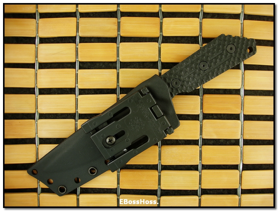 TAD Combat Edition Strider MOD10 CQB
