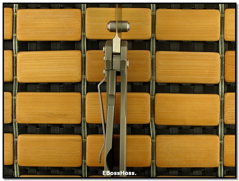 Zaza Revishvili Tactical Custom Framelock