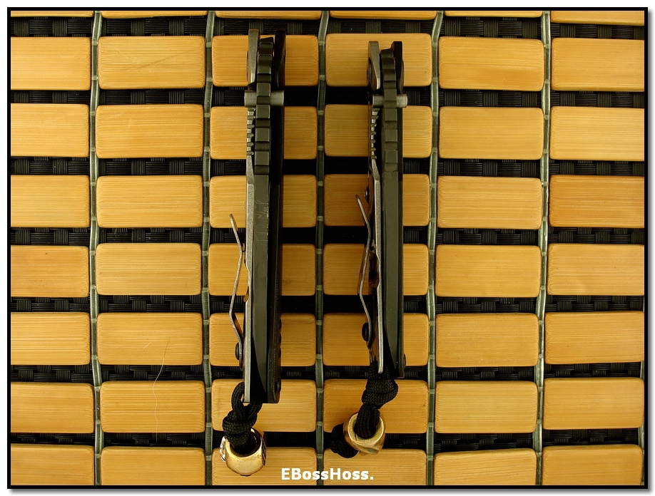 Strider Starlingear Laser-etched DDC Customs