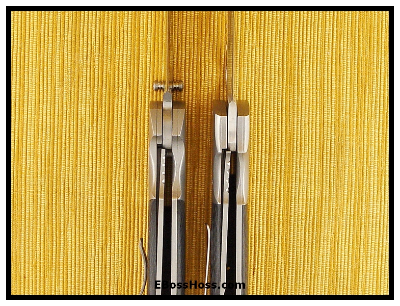 Jeremy Krammes CF Beauties