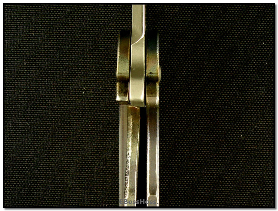 Steve Ryan Rhino Vorpal