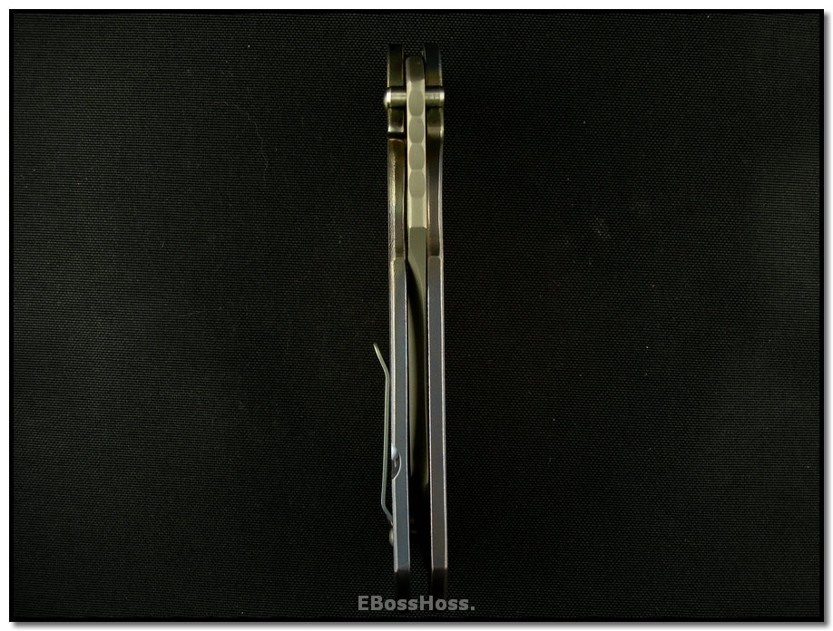 Steve Ryan Rhino Vorpal