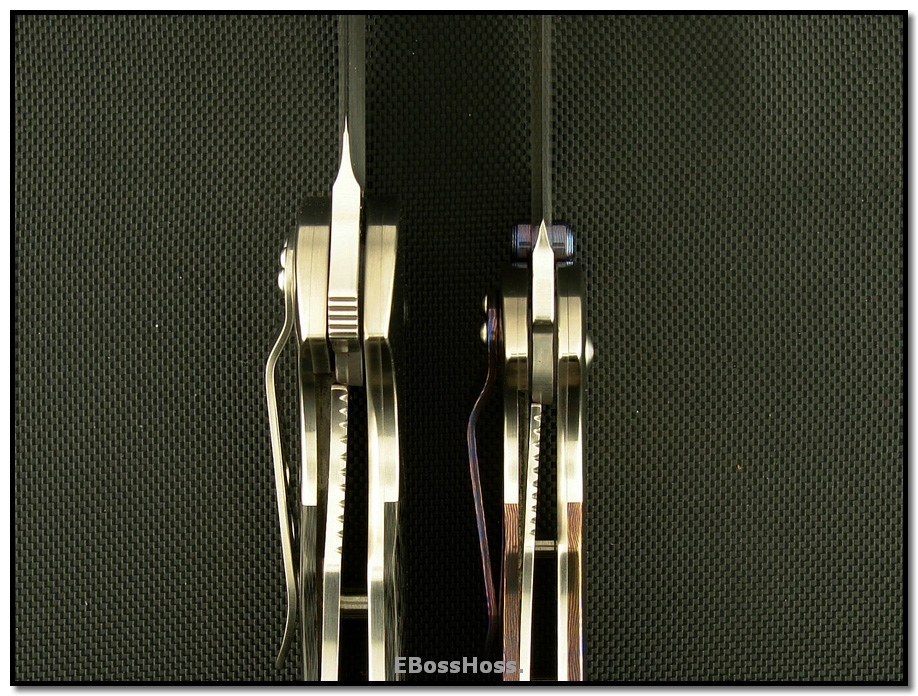 Carey Deluxe & Special