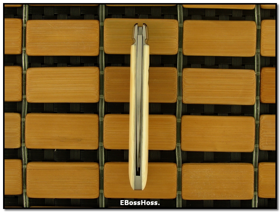 Tony Bose Teardrop Prototype