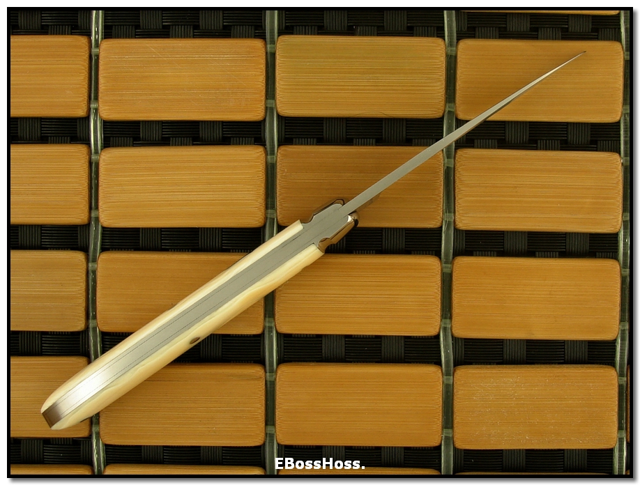 Tony Bose Teardrop Prototype