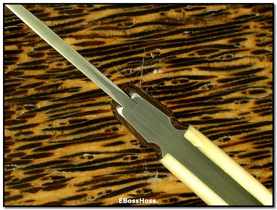 Tony Bose Zulu Spear