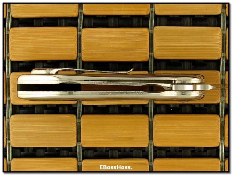 Todd Begg Damascus Gents Glimpse Flipper