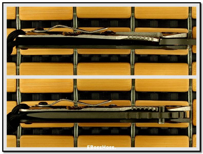 Starlingear Company SnG from The Gathering