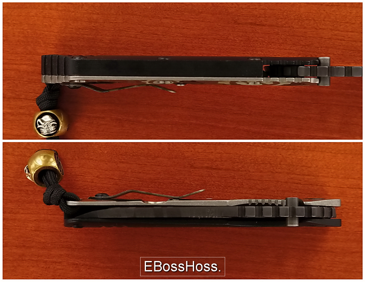 Duane Dwyer Custom / Starlingear Stealth SMF