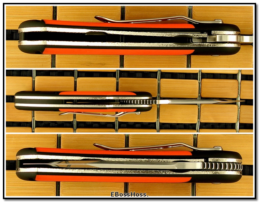 Todd Begg Field Marshall