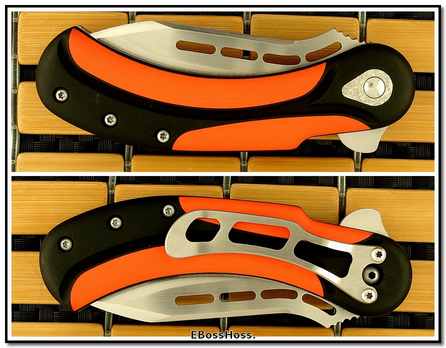 Todd Begg Field Marshall