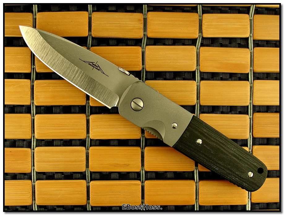 Ernie Emerson Super A-100 (aka Custom S-A100)