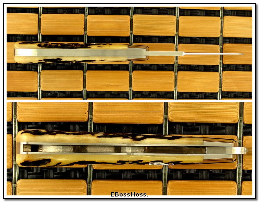 Reese Bose 4 1/2-inch Stag Back Pocket