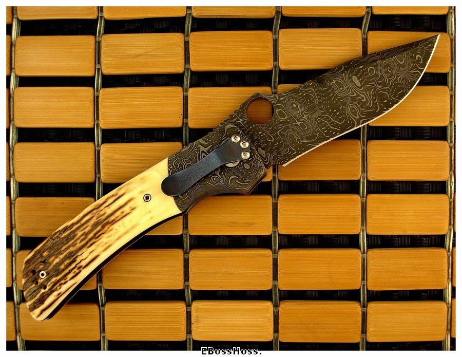 Charles Marlowe Deluxe Modified Squail