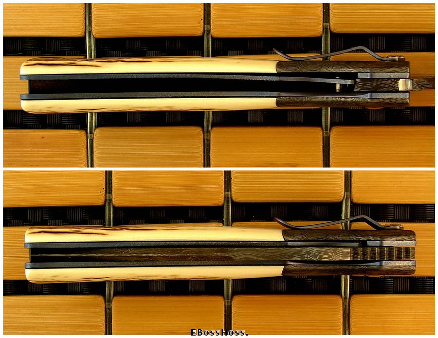 Charles Marlowe Deluxe Modified Squail