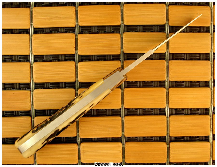 Reese Bose 4 1/2-inch Stag Back Pocket