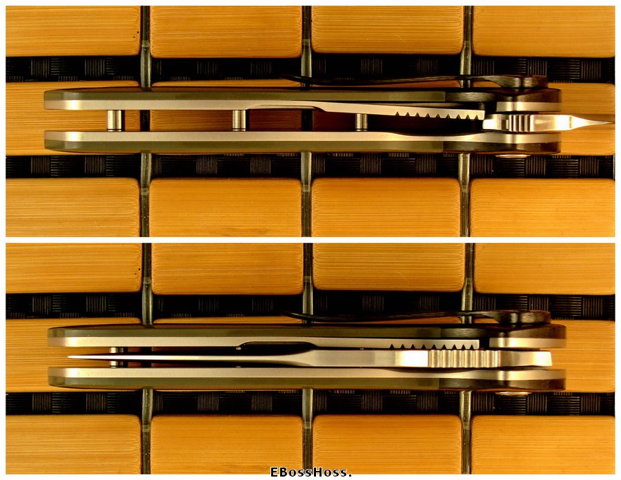 Peter Carey Nitro Flipper