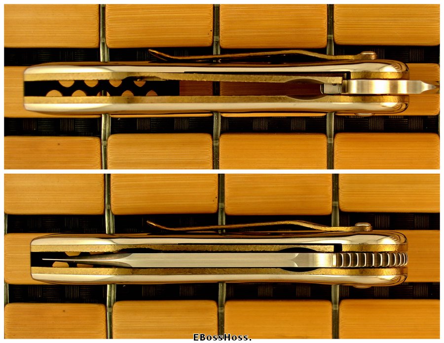 Todd Begg Deluxe Multi-Integral SPO Glimpse