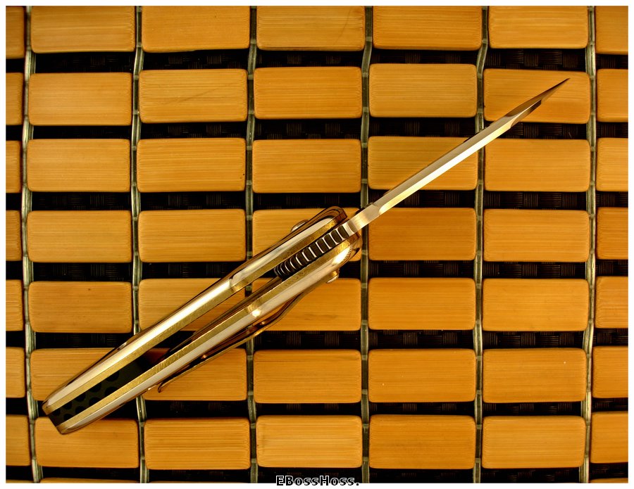 Todd Begg Deluxe Multi-Integral SPO Glimpse