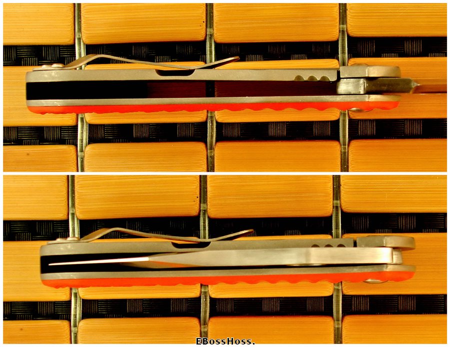 Michael Burch Platypus