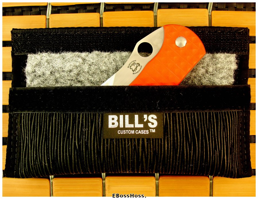 Michael Burch Platypus