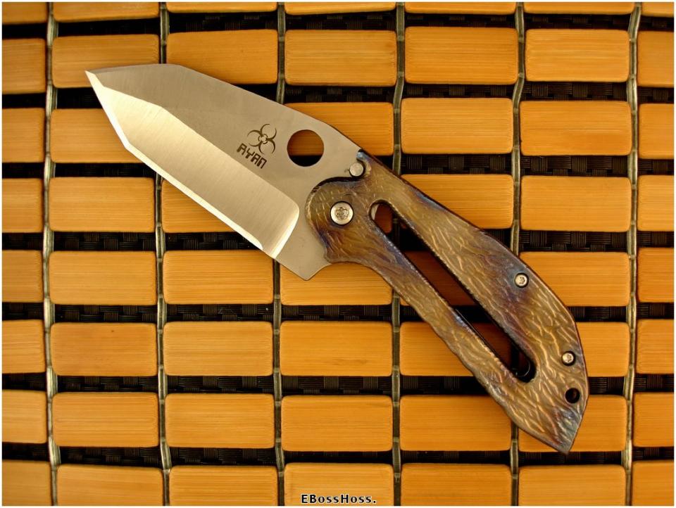Steve Ryan Cockroach Tanto