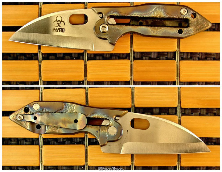 Steve Ryan Prehistoric Ant