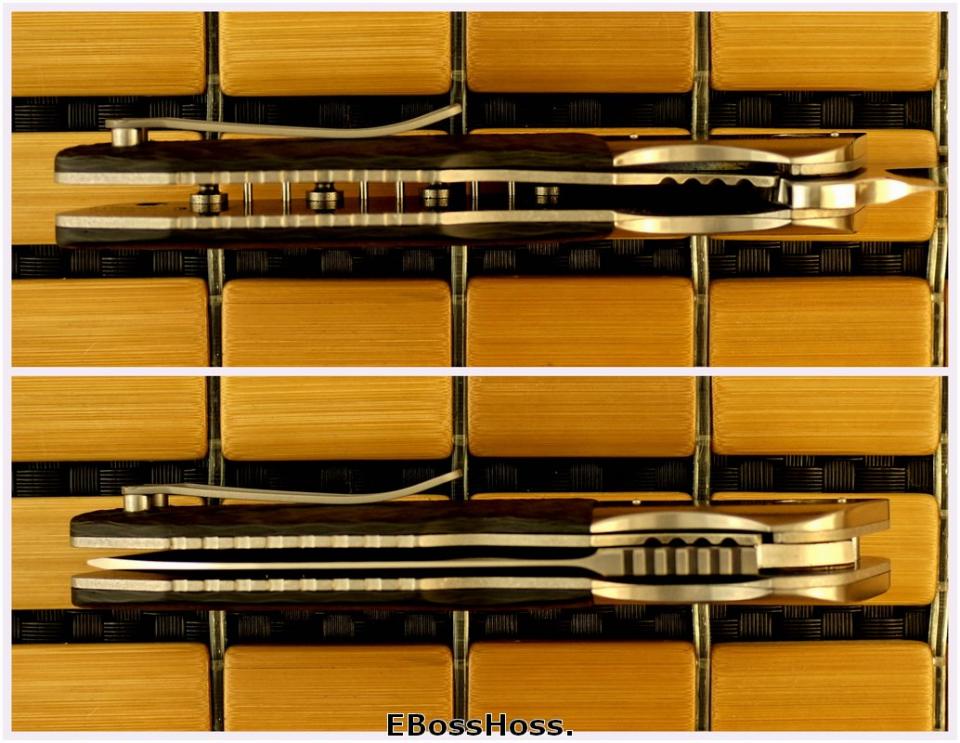 Allen Elishewitz / Liong Mah Force One Flipper