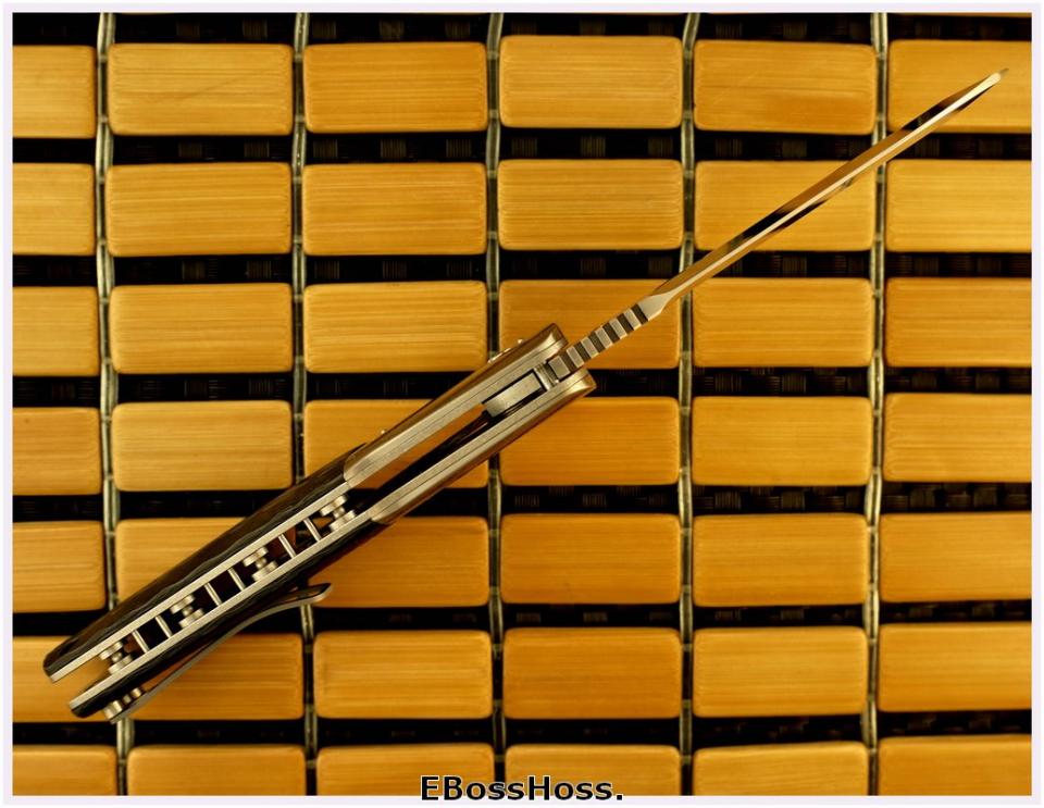 Allen Elishewitz / Liong Mah Force One Flipper