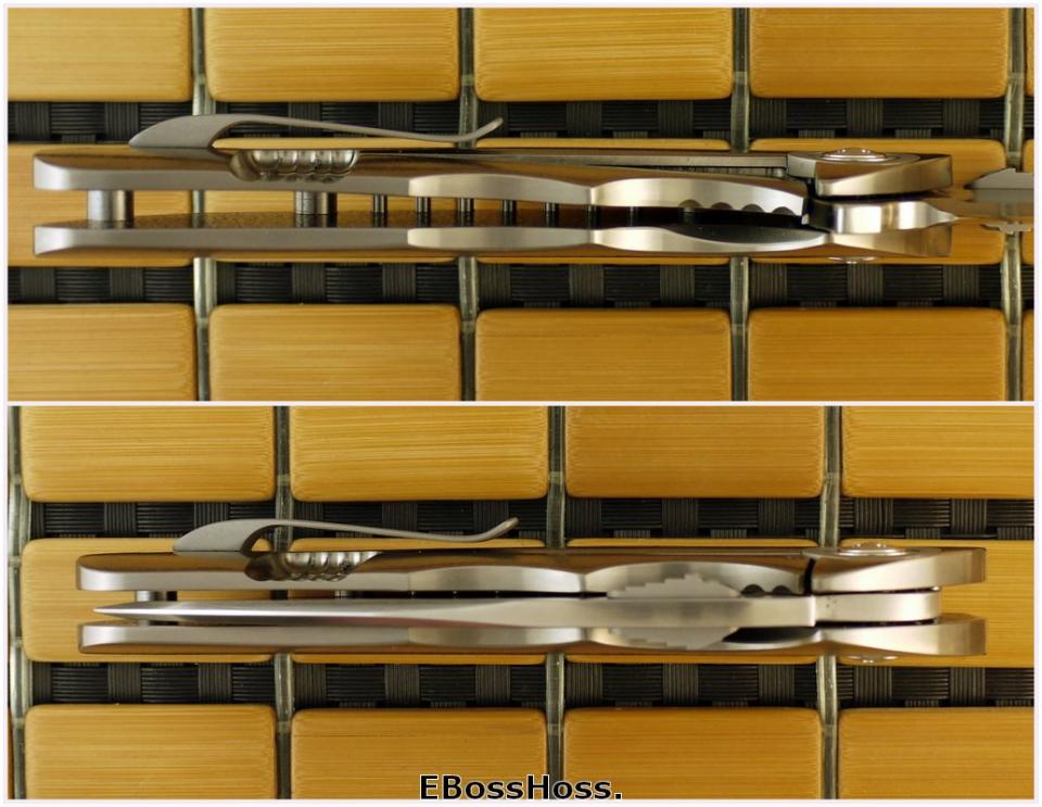 Allen Elishewitz / Liong Mah Vantage