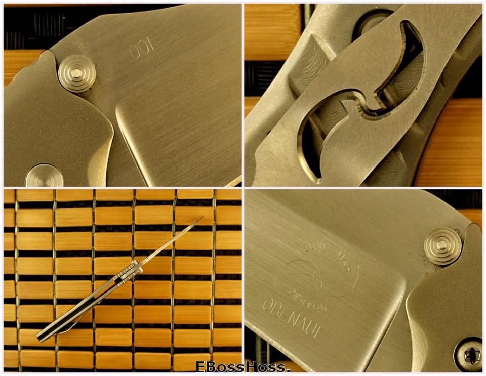 Mike Obenauf / Liong Mah Ignitor Flipper