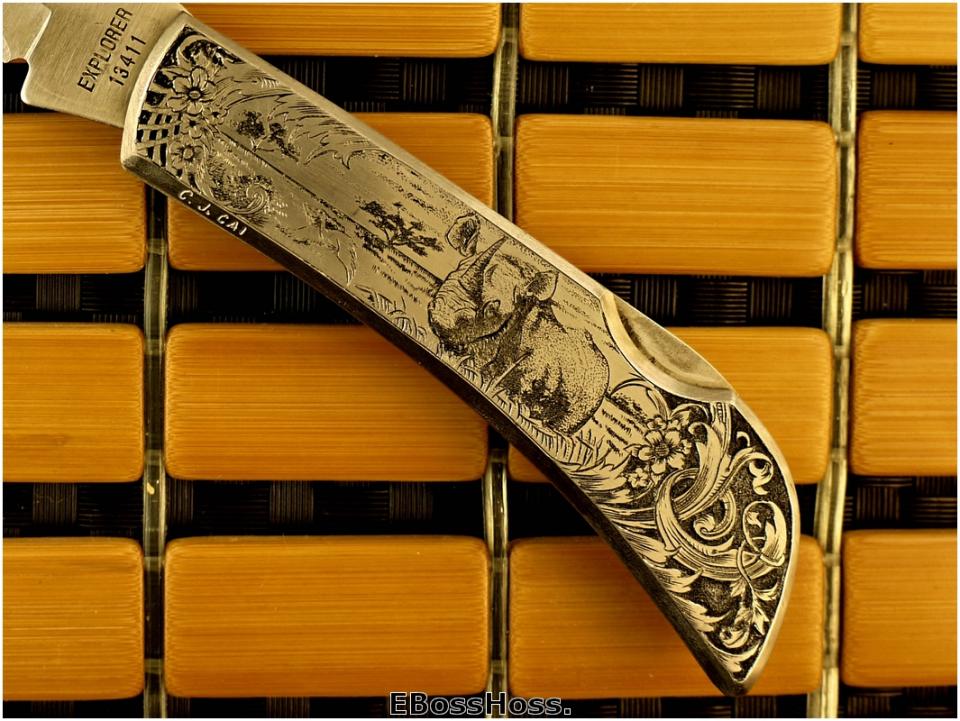 C.J. Cai "Rhino in the Wild..."