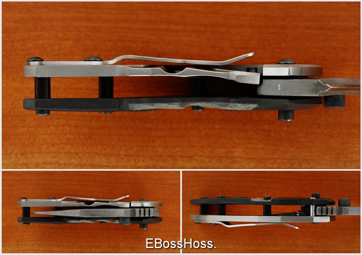 Dwaine Carrillo Damascus Moni-tor Model 6 Magnum