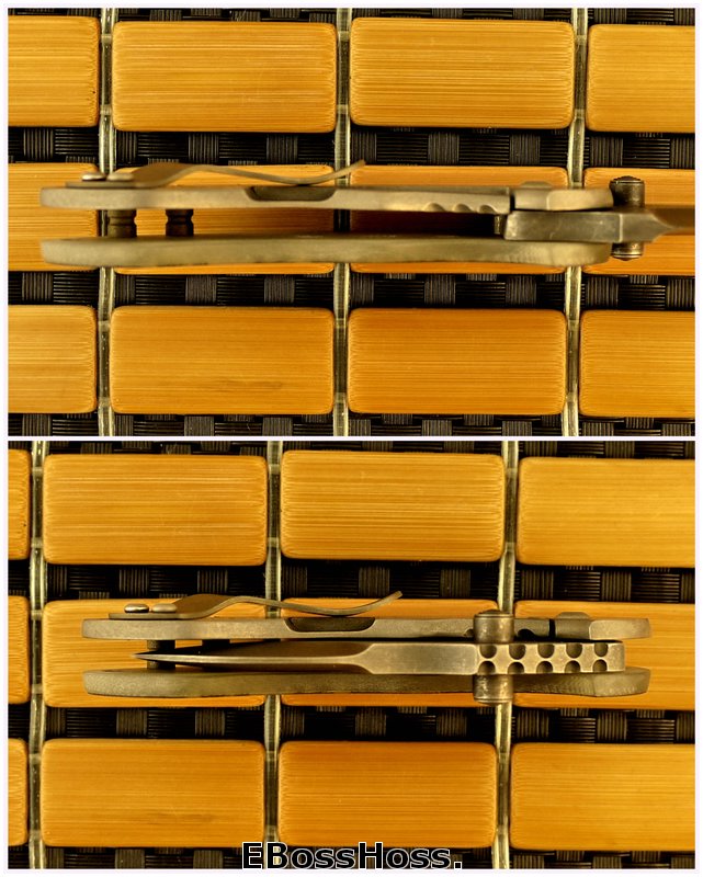 Michael Burch Nova Flipper