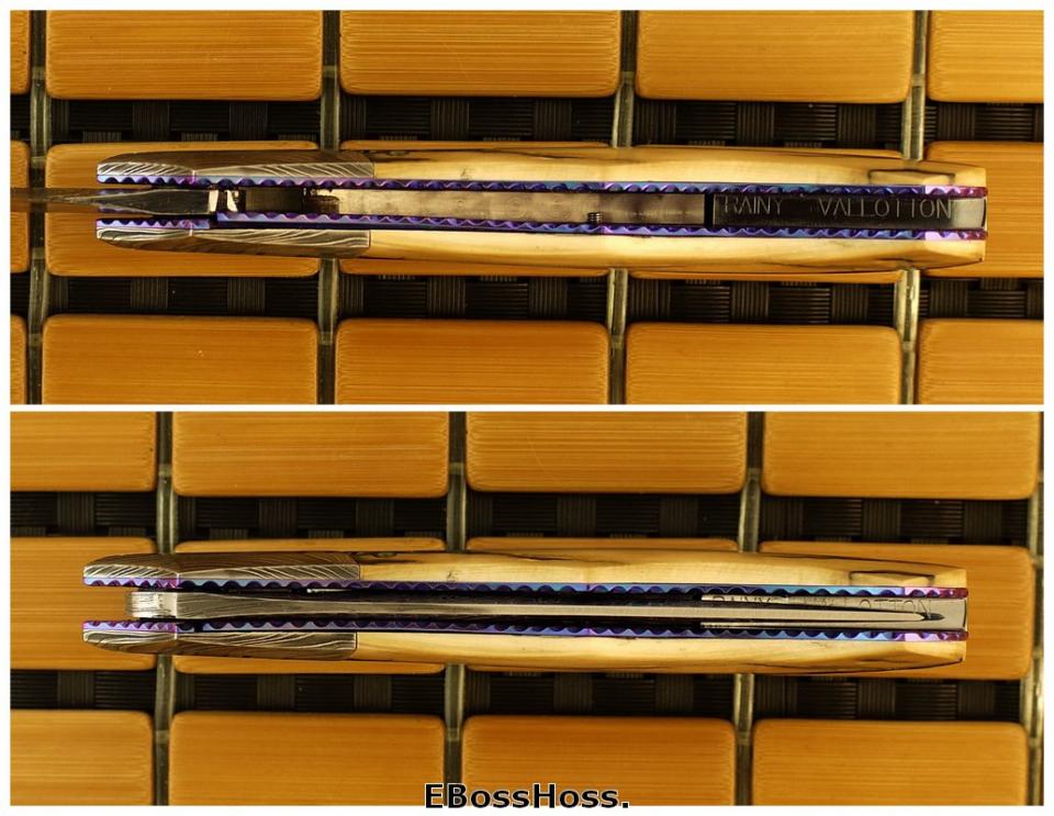 Rainy Vallotton Deluxe Persian