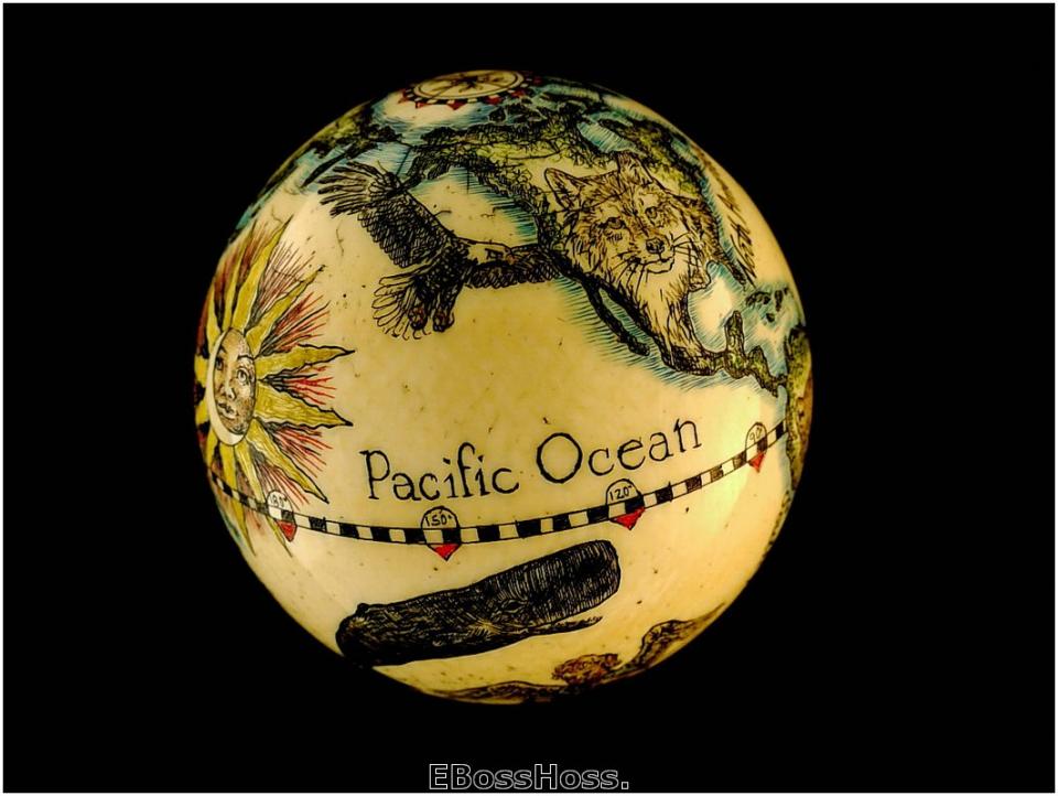 Linda Karst Stone's Endanged Species of the World