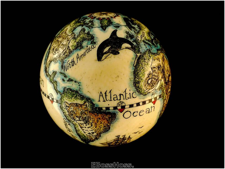 Linda Karst Stone's Endanged Species of the World