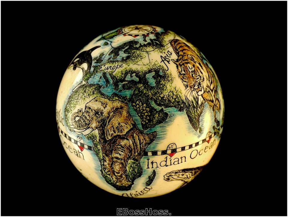 Linda Karst Stone's Endanged Species of the World